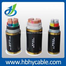 Câble d&#39;alimentation électrique à basse tension isolé par PVC de 0.6 / 1KV